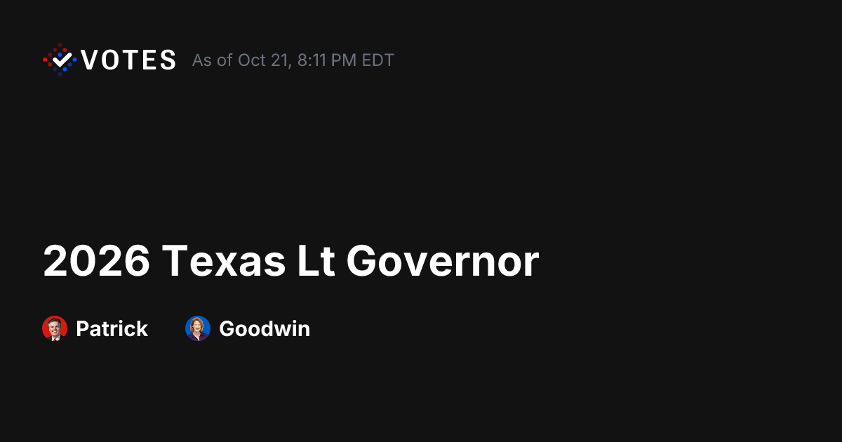 2026 Texas Lt Governor General Election Results | DDHQ